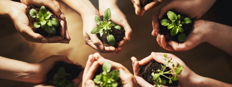 Sustainable Warehousing Sustainable Warehouse